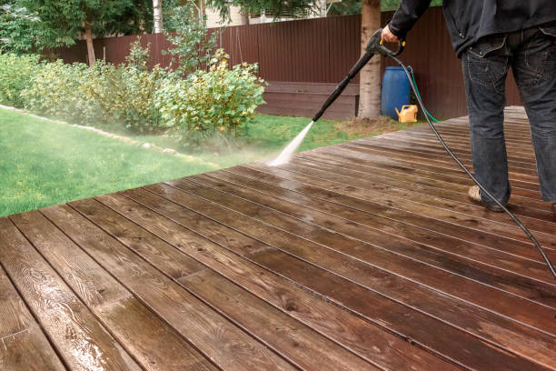 Best Roof Cleaning and Mildew Removal in Port Allen, LA